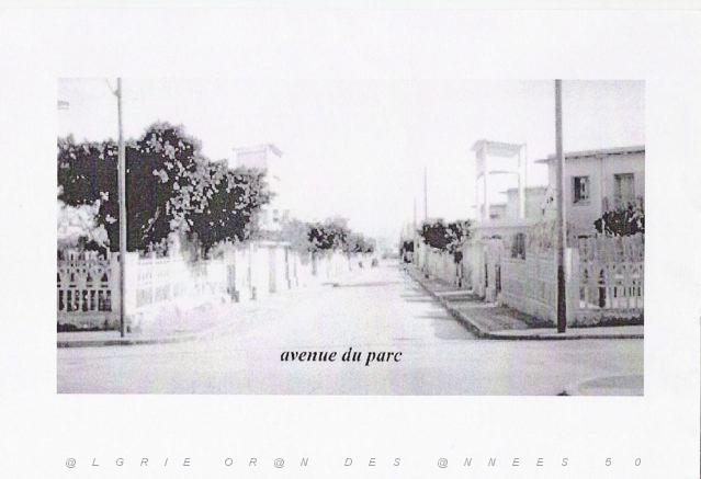 Avenue du Parc.JPG